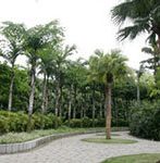 Botanical Gardens