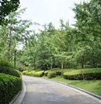 Guilin Botanical Gardens