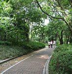 Gulin Botanical Garden of Guilin