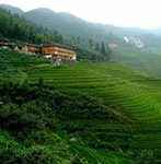 Jinkeng terraces