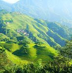 longji rice terraces in summer