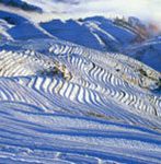 Longji rice terraces in winter