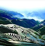 Longji Rice Terraces spring