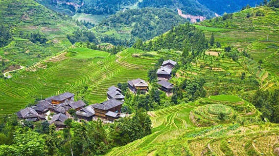 Rice Terraces Tours