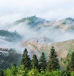 Ping'an terraces afer rain